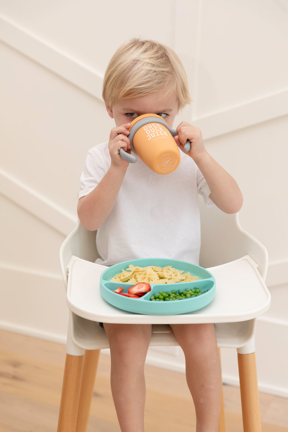 Meal Monster Wonder Plate