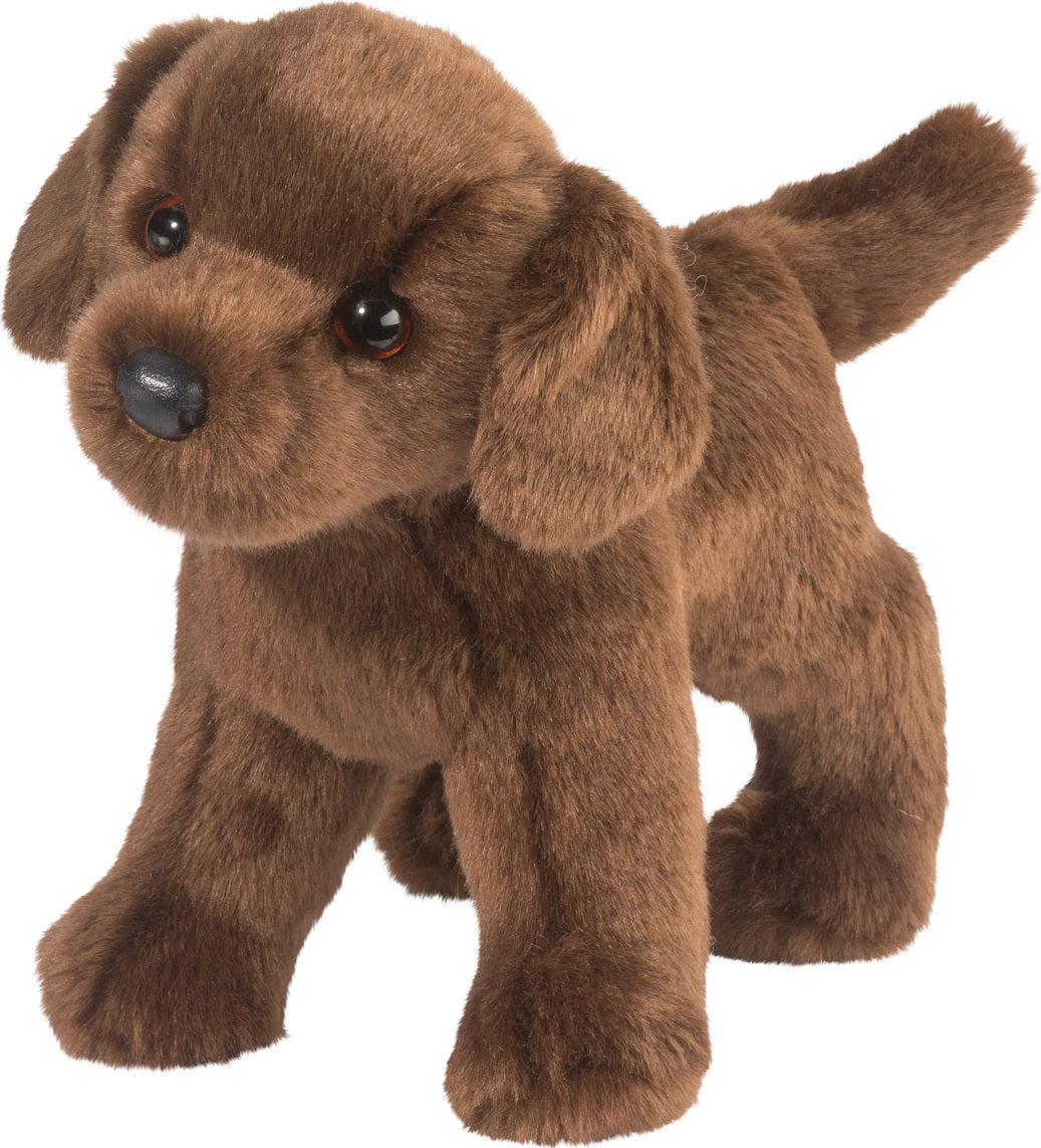 TUCKER CHOCOLATE LAB