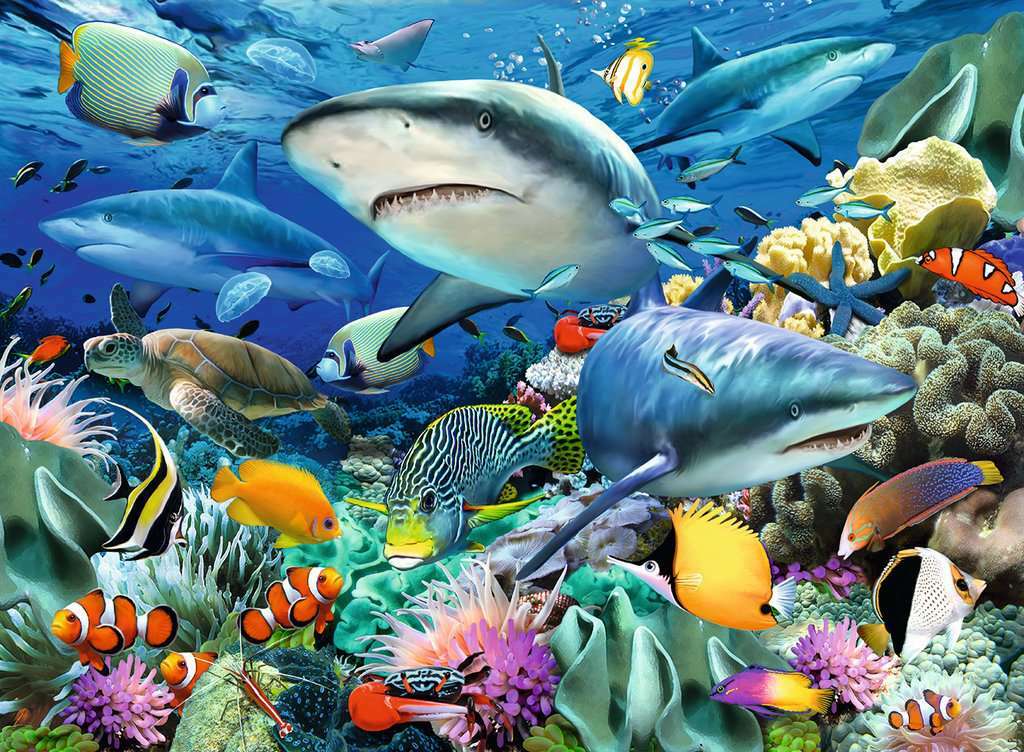 100 Pc Shark Reef XXL Puzzle