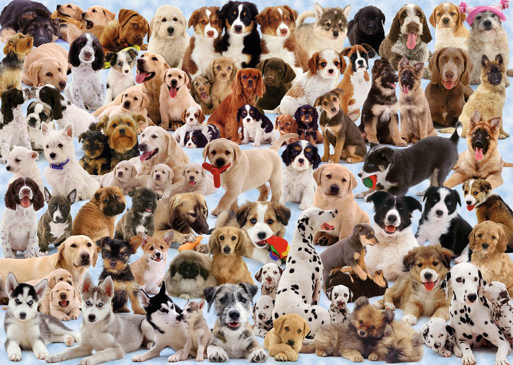 1000 Pc Dogs Galore! Puzzle