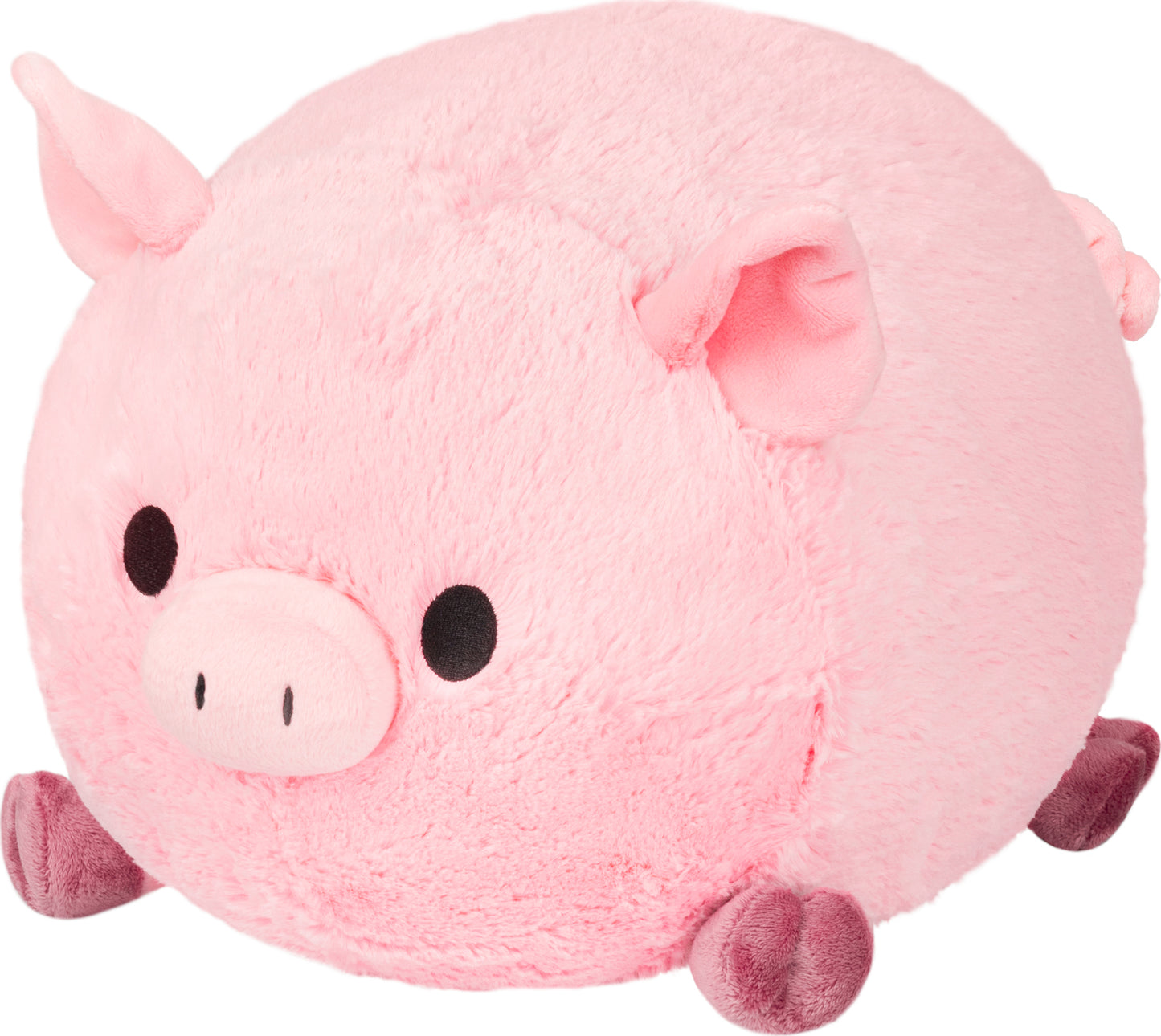 Squishable Piggy