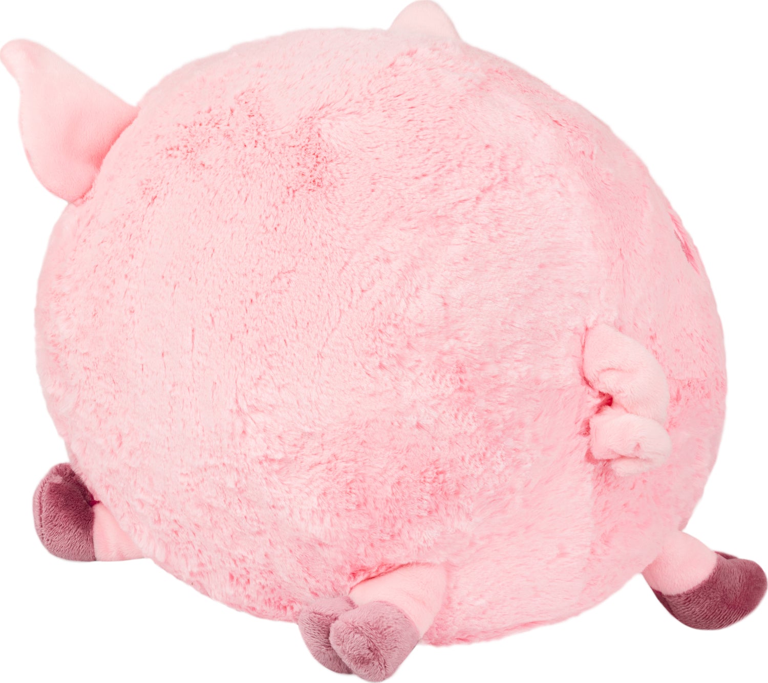 Squishable Piggy