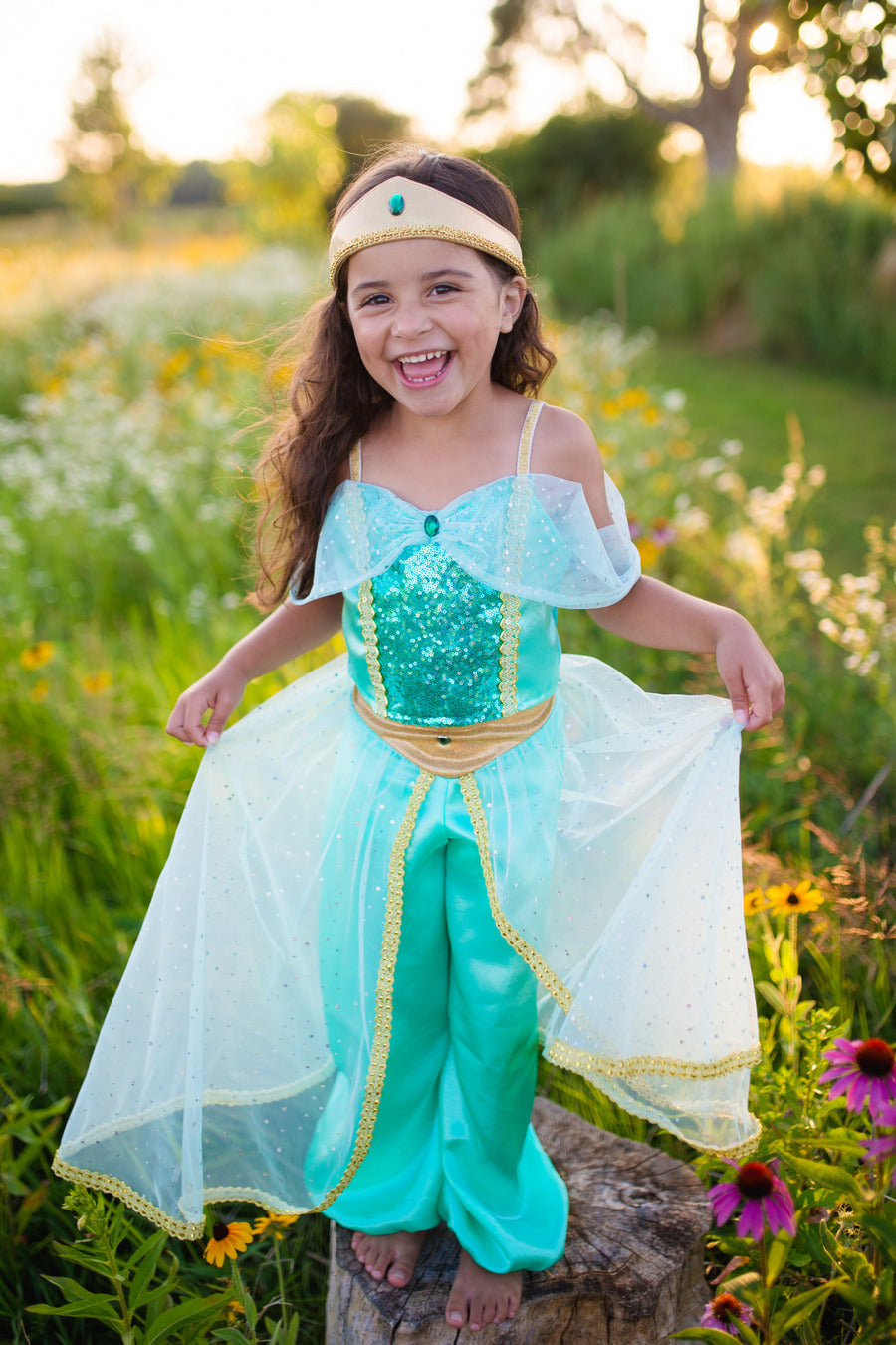 jasmine princess dress Disney Aladdin Princess Jasmine Dress Cosplay Costume