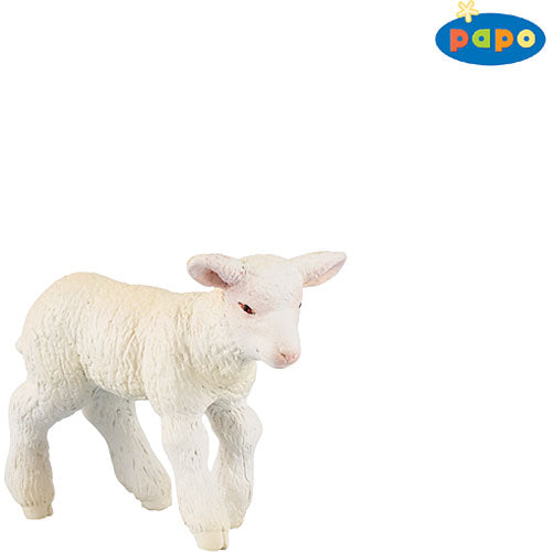 Merinos Lamb