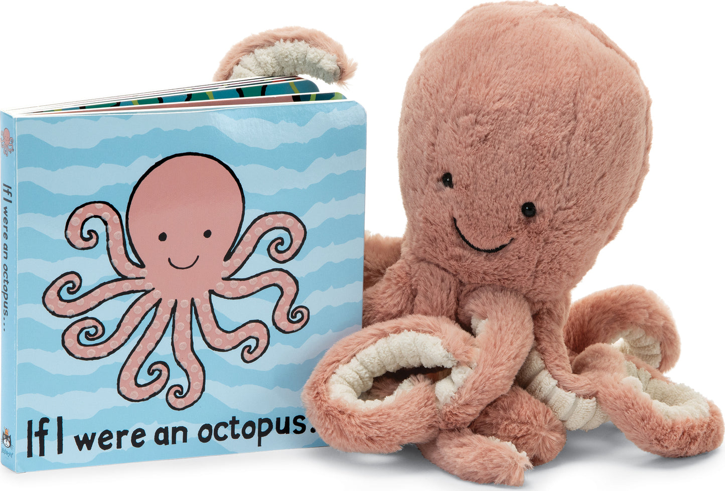 If I were an Octopus Book