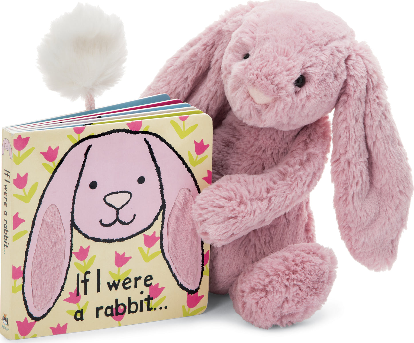 If I Were a Rabbit Board Book