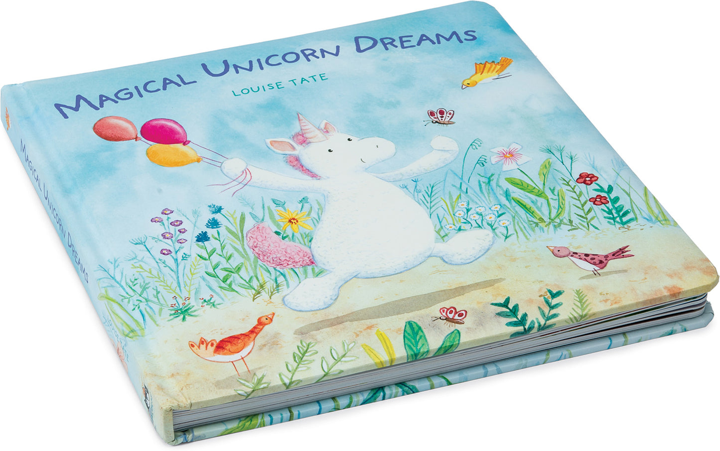 Magical Unicorn Dreams Book