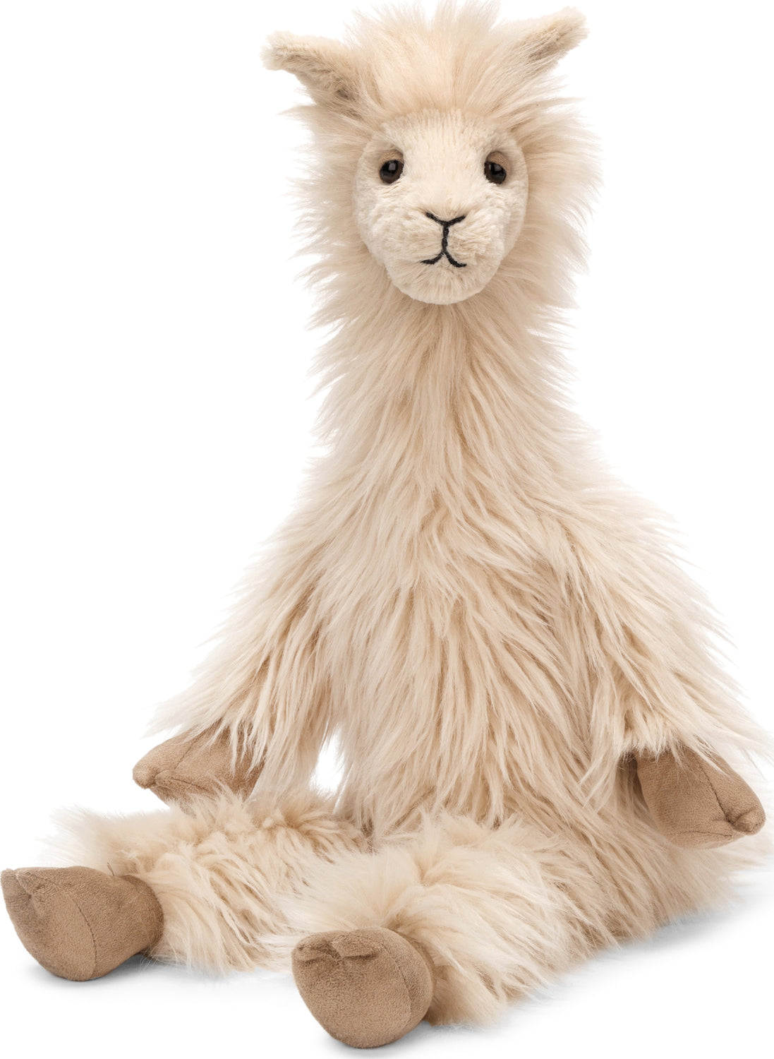 Luis Llama