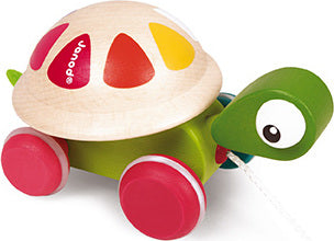 Zigolos Pull Along Turtle
