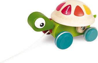 Zigolos Pull Along Turtle