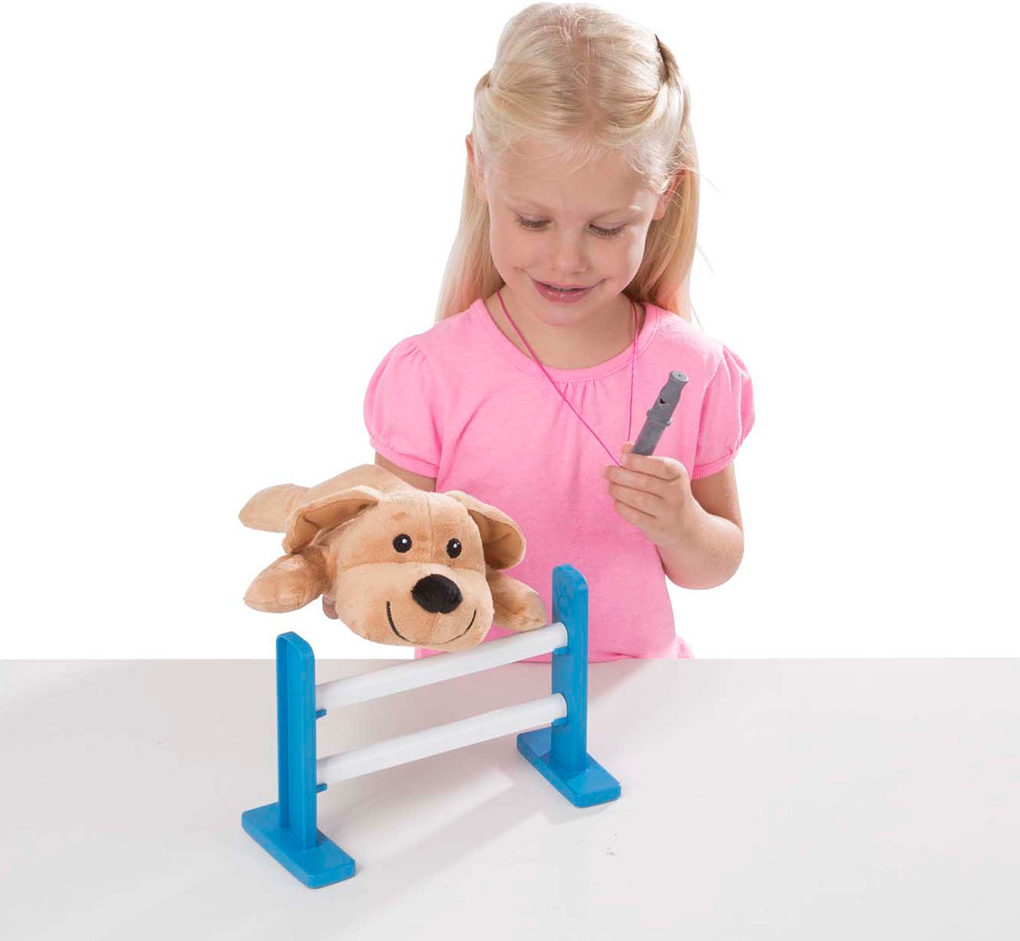 Tricks & Training Puppy School Play Set