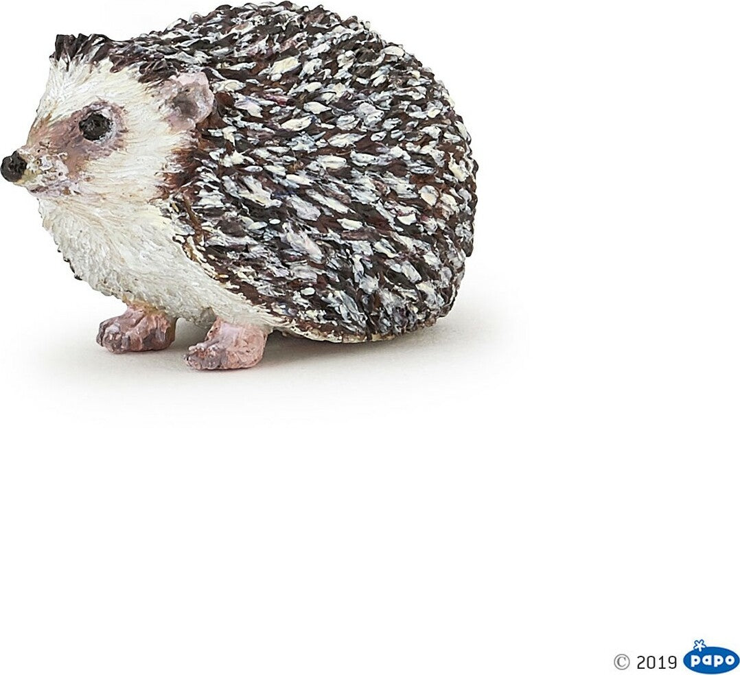 Hedgehog