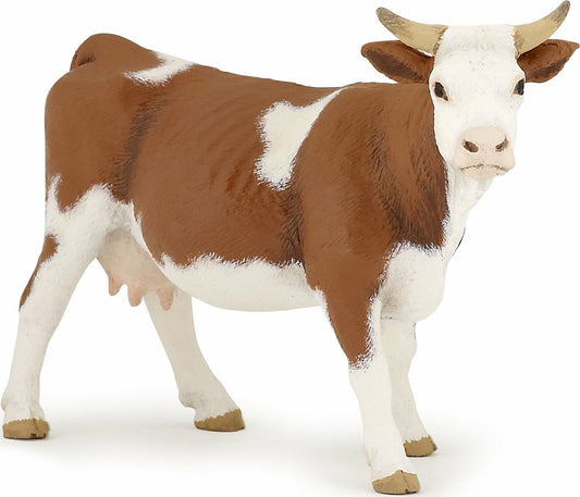 Simmental Cow