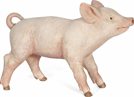 Female Piglet