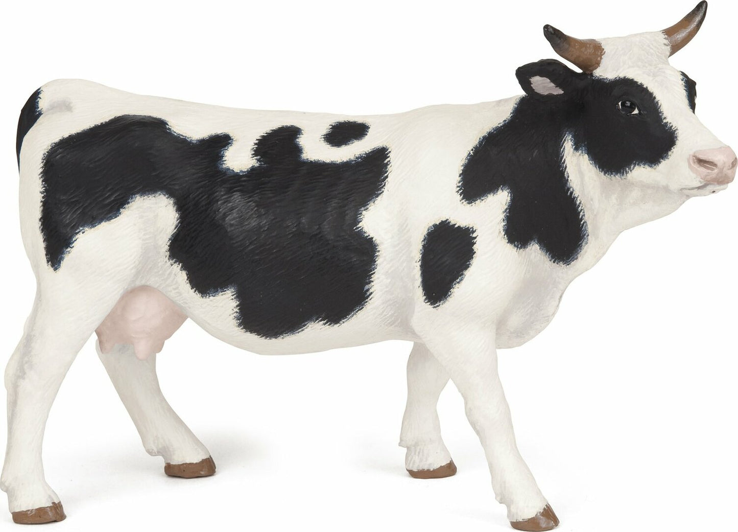 Black And White Cow