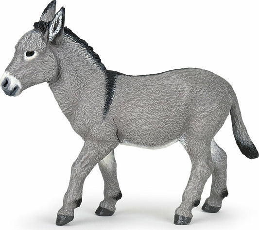 Provence Donkey