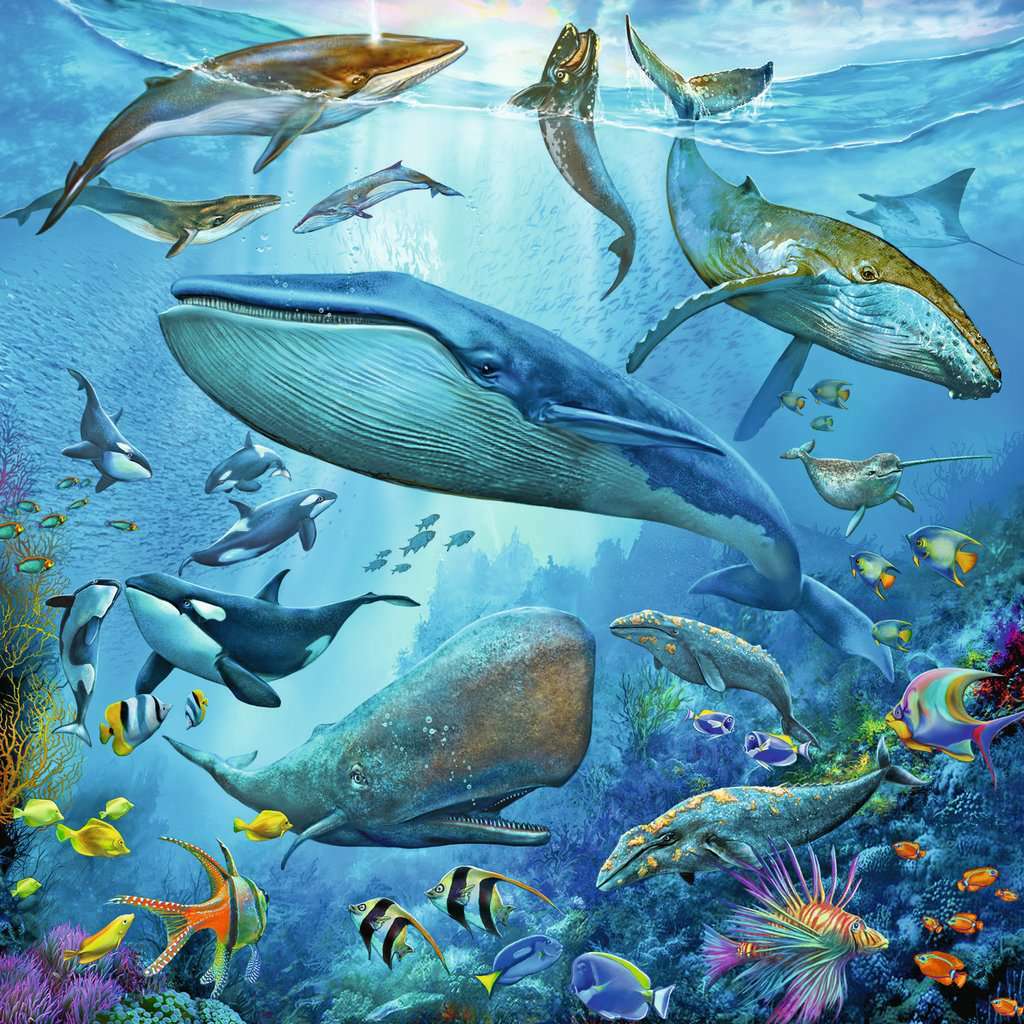 3x49 Ocean Life Puzzles