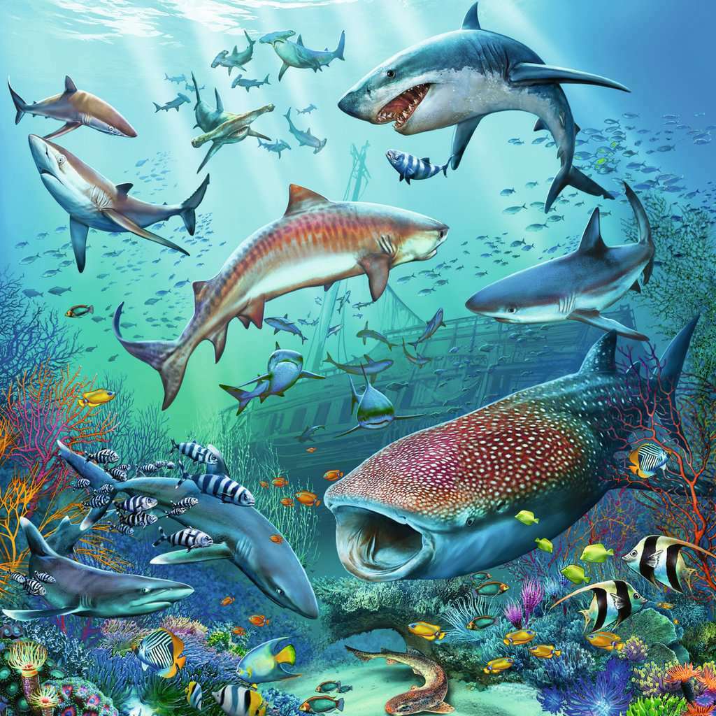 3x49 Ocean Life Puzzles