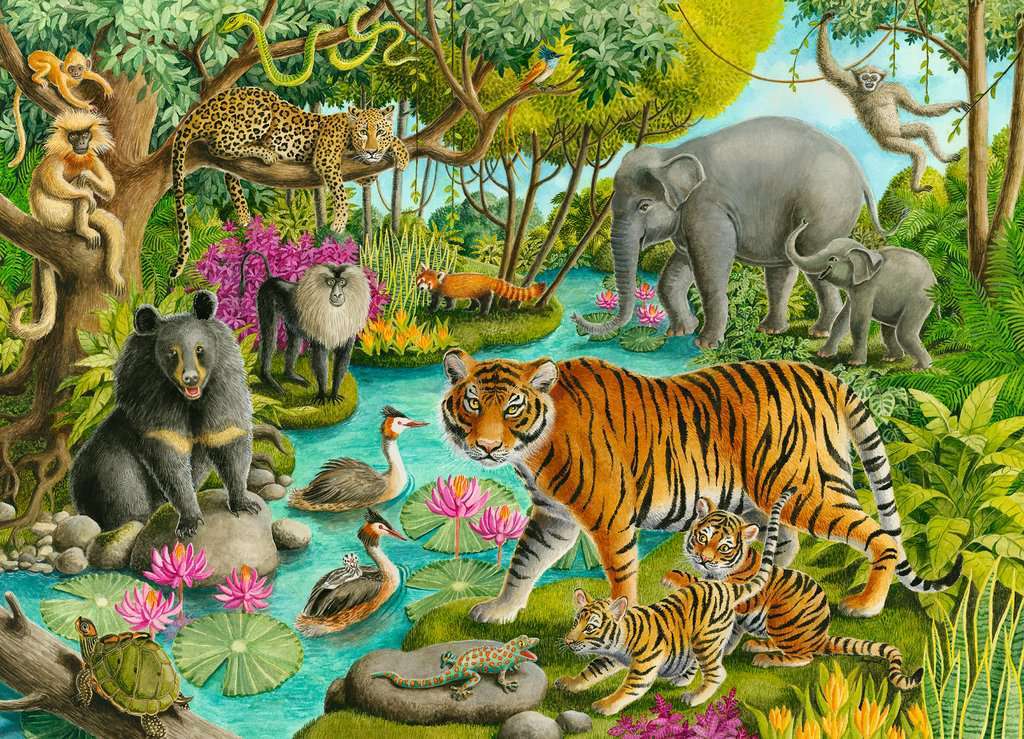 60 Pc Animals Of India Puzzle