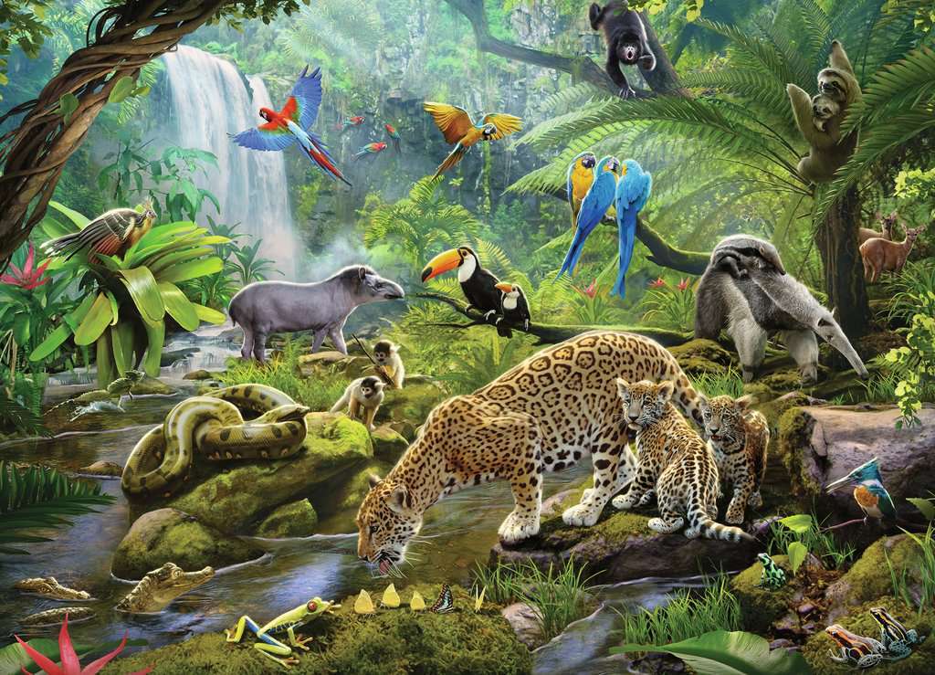 60 Pc Rainforest Animals Puzzle