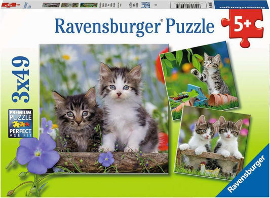 3x49 Pc Tigers Kittens Puzzles