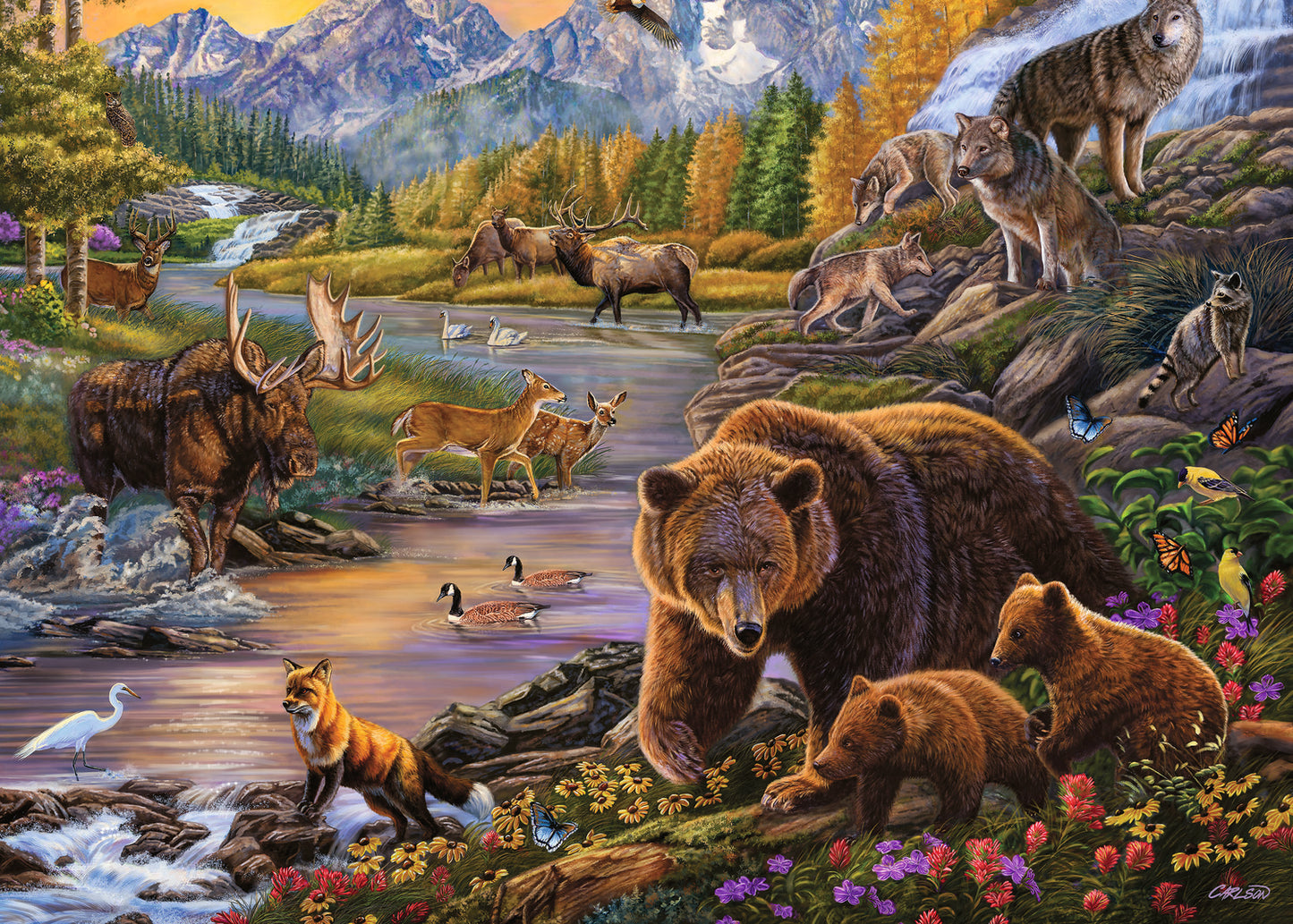 500 Pc Wilderness Large Format Puzzle