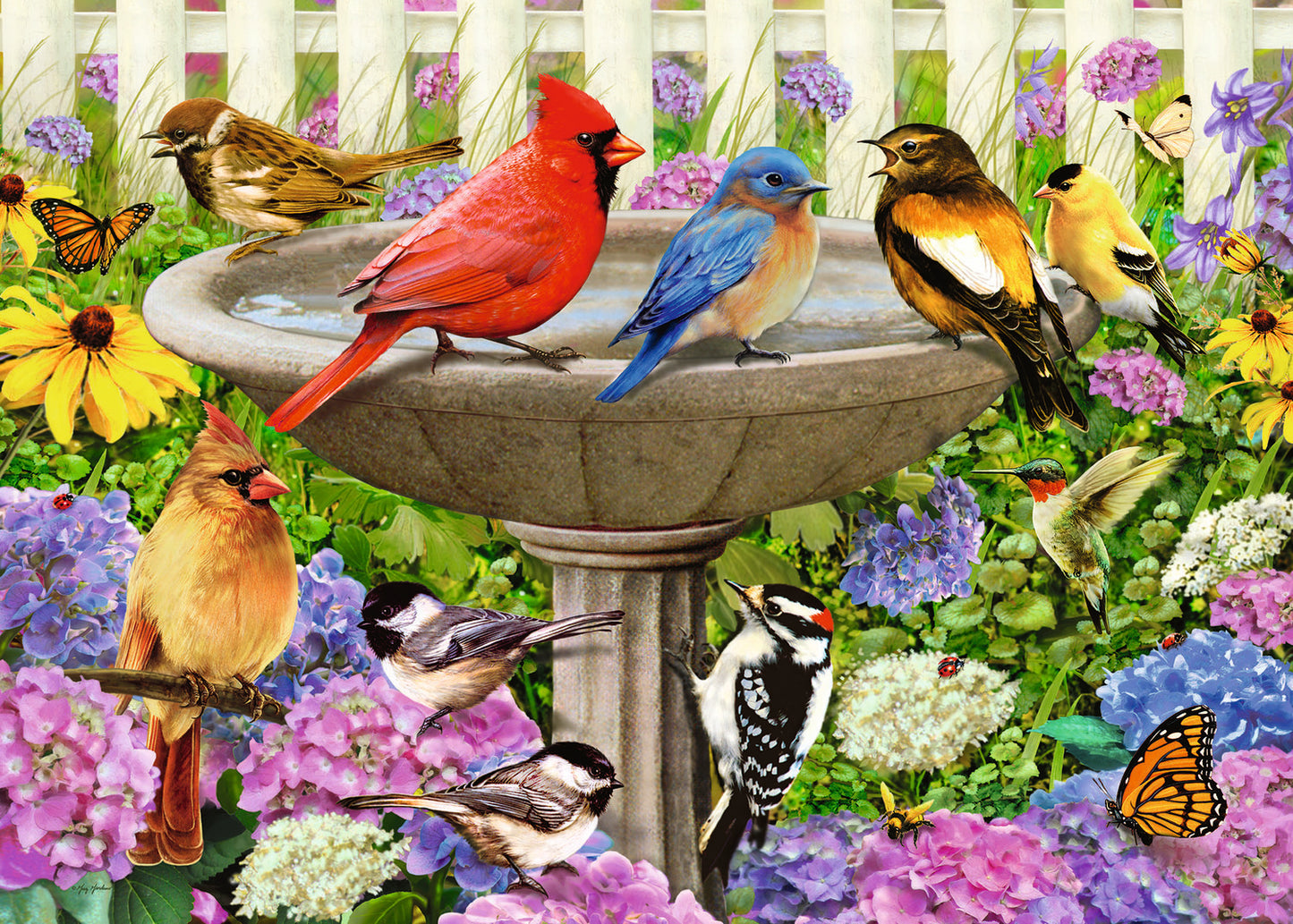 500 Pc At The Birdbath Puzzle