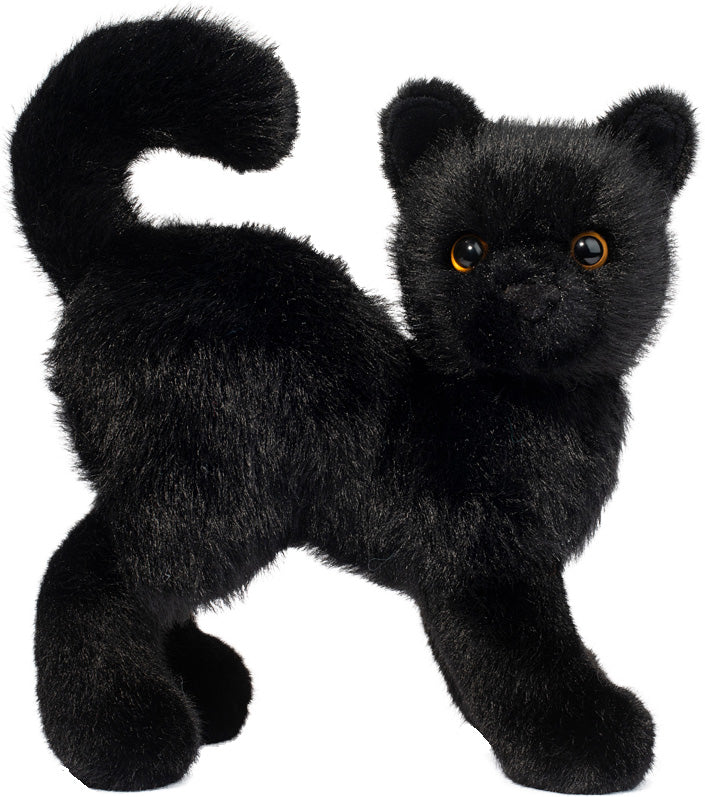 Scaredy Black Cat