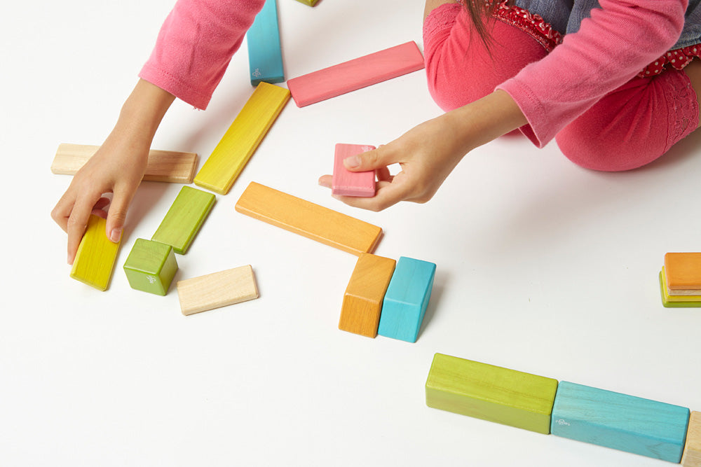 Tegu Tints Magnetic Wooden Blocks 14 Piece Set