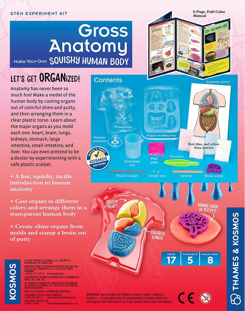 Gross Anatomy: Make-your-own Squishy Human Body Age 8+