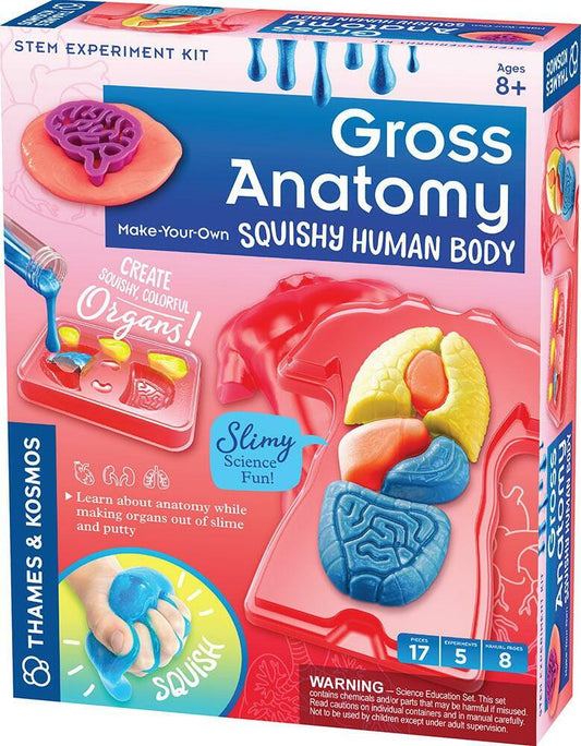 Gross Anatomy: Make-your-own Squishy Human Body Age 8+