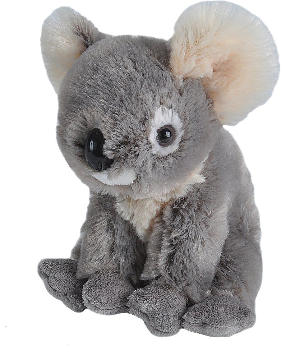 Koala Stuffed Animal - 8"